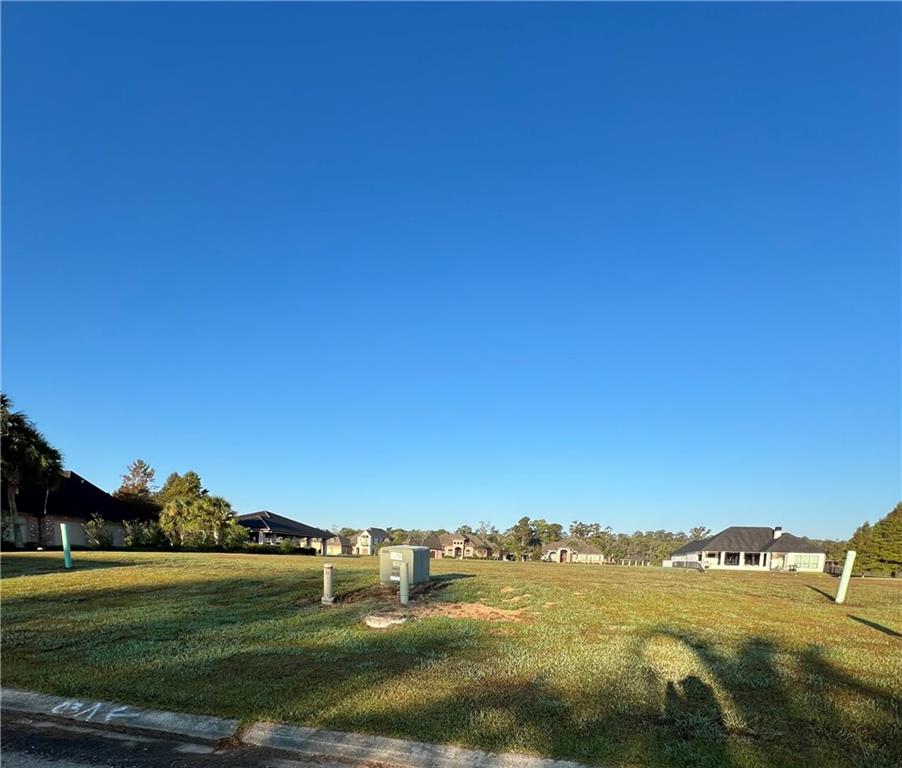 21549 Dolphin Court Springfield, LA 70462 - Photo 2 of 2