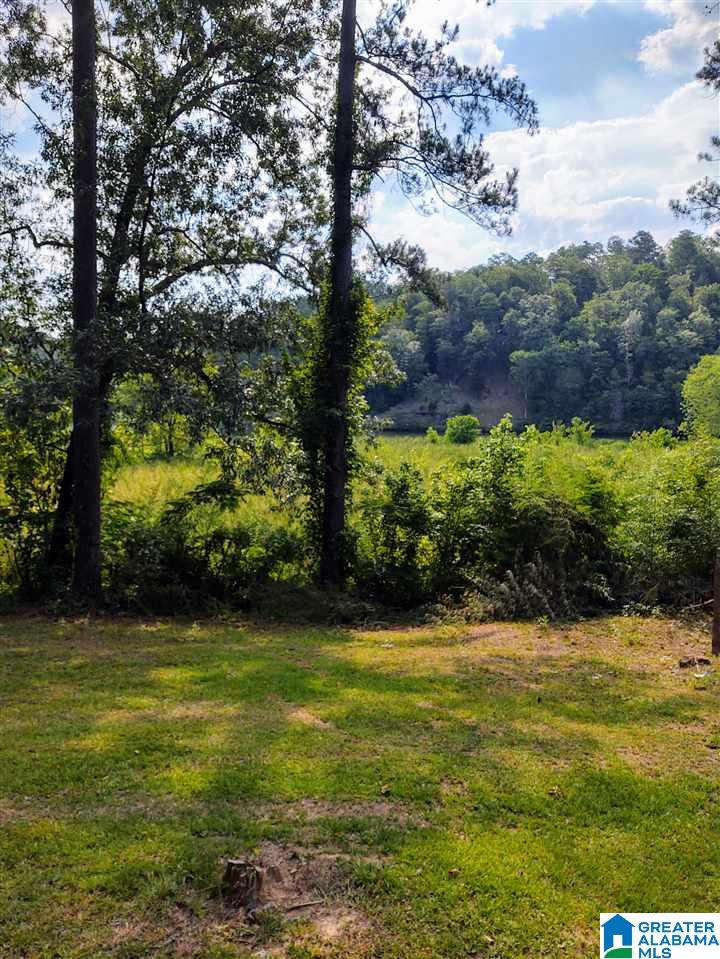 115 Satterfield Road Adger, AL 35006 - Photo 20 of 25