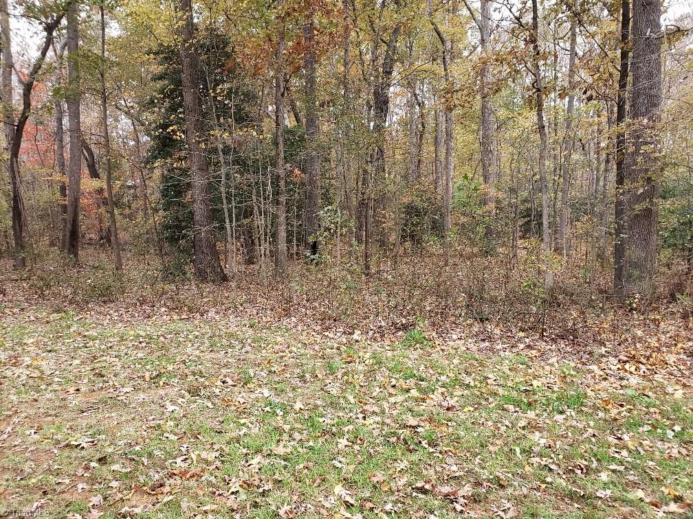 204 Beckner Road Lexington, NC 27292 - Photo 14 of 15 Nice wooded backyard.