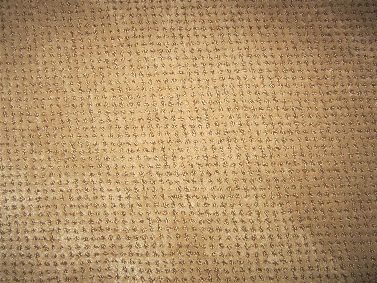 17547 Matinal Road San Diego, CA 92127 - Photo 16 of 23 Close up of the upgraded carpeting. Neutral color