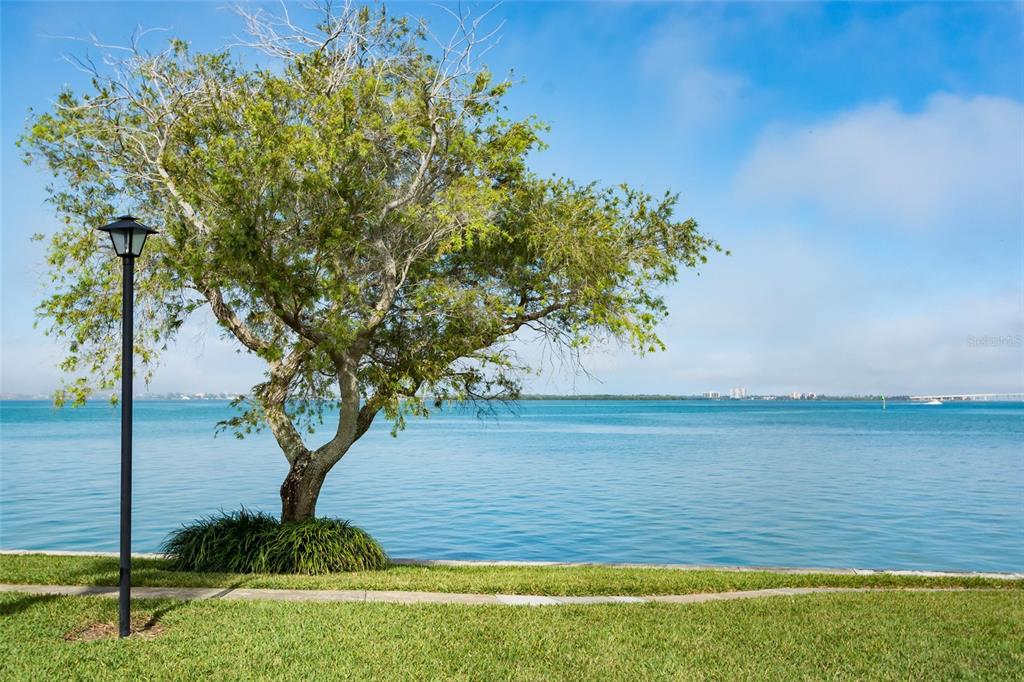 103 1st Street East, Unit 210 Tierra Verde, FL 33715 - Photo 11 of 22
