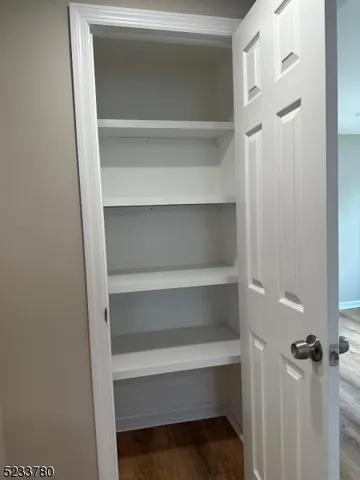 a view of walk in closet with empty racks