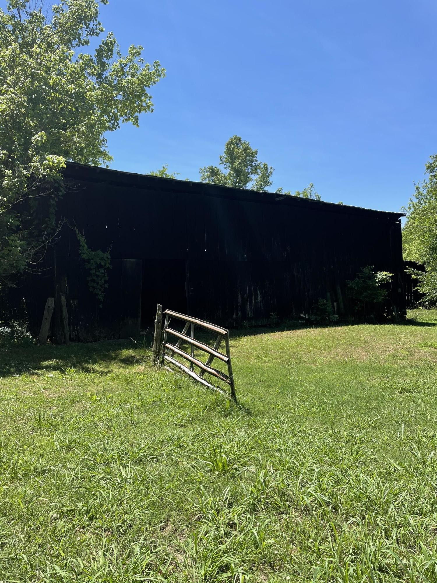 600 Brooks Road Greenback, TN 37742 - Photo 14 of 19 Gallery Image 14