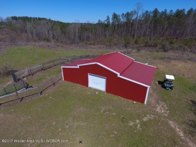 5125 Smith Lake Dam Road Jasper, AL 35504 - Photo 6 of 26 Gallery Image 6