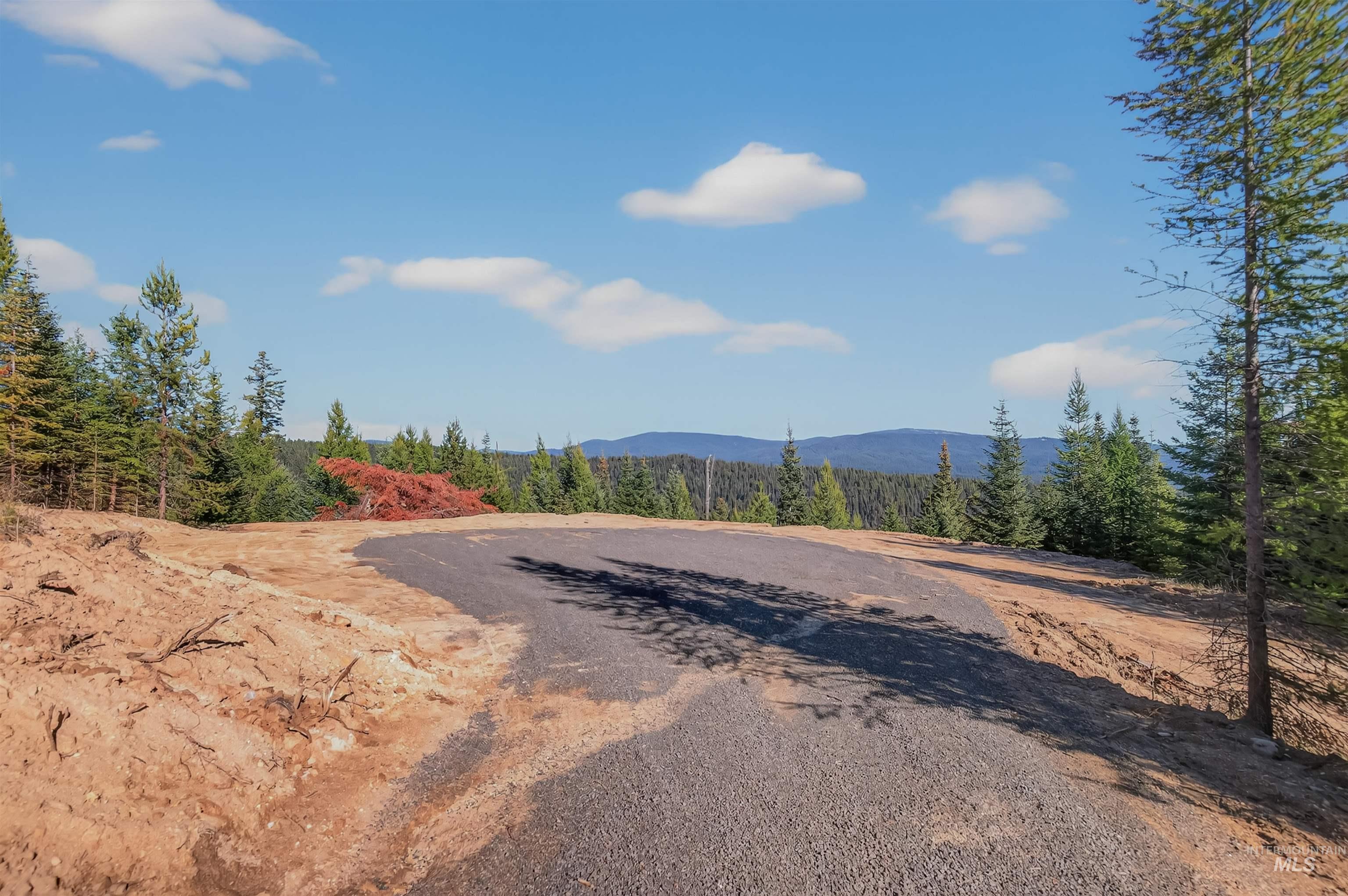 8 Tree Farm Trails Road Elk City, ID 83525 - Photo 5 of 14 View of asphalt road with a mountain view and a view of trees