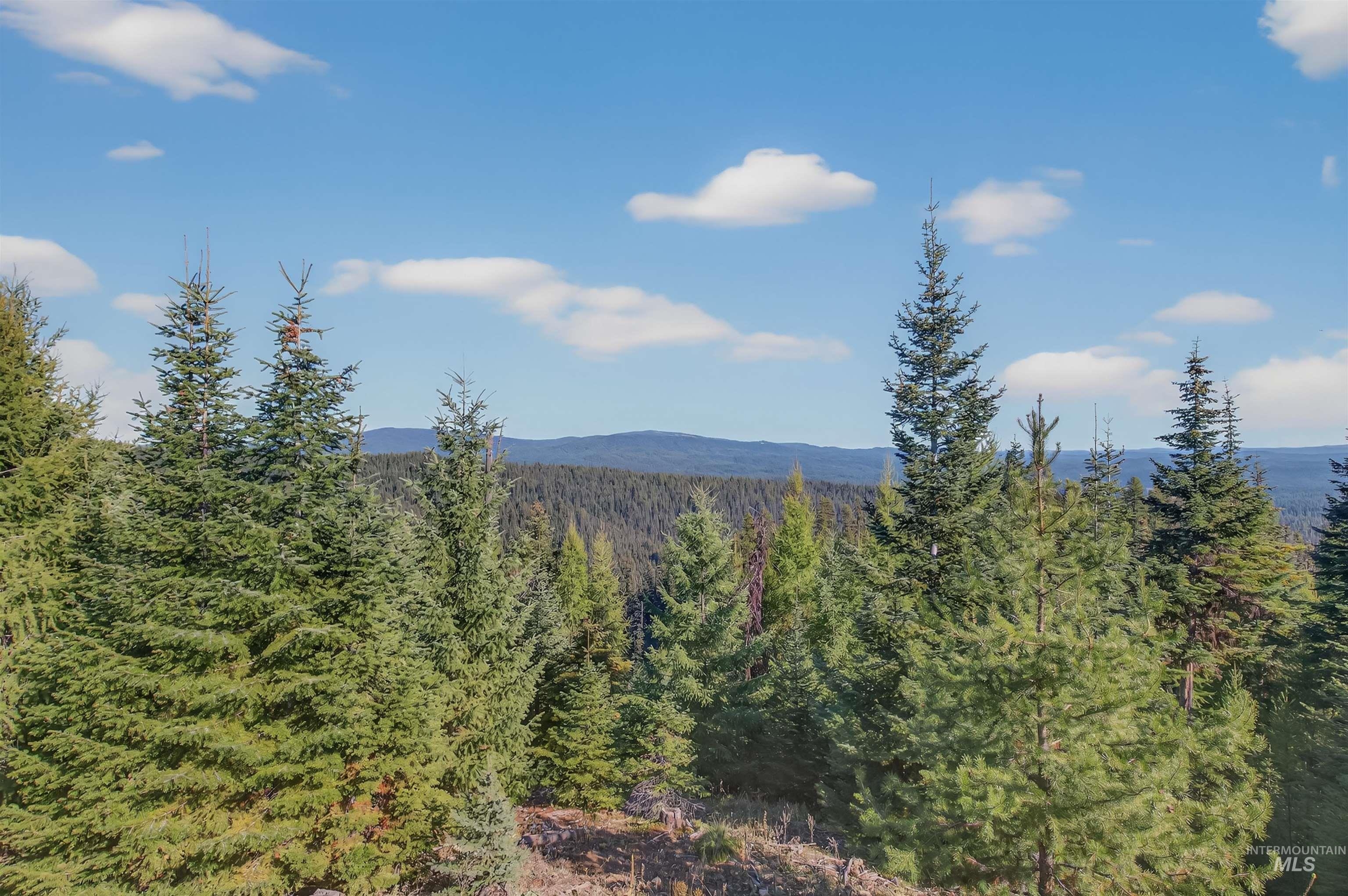 8 Tree Farm Trails Road Elk City, ID 83525 - Photo 7 of 14 Mountain view featuring a forest