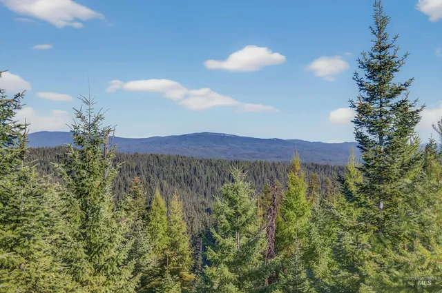 $169,000 | 8 Tree Farm Trails Road, Elk City, ID 83525