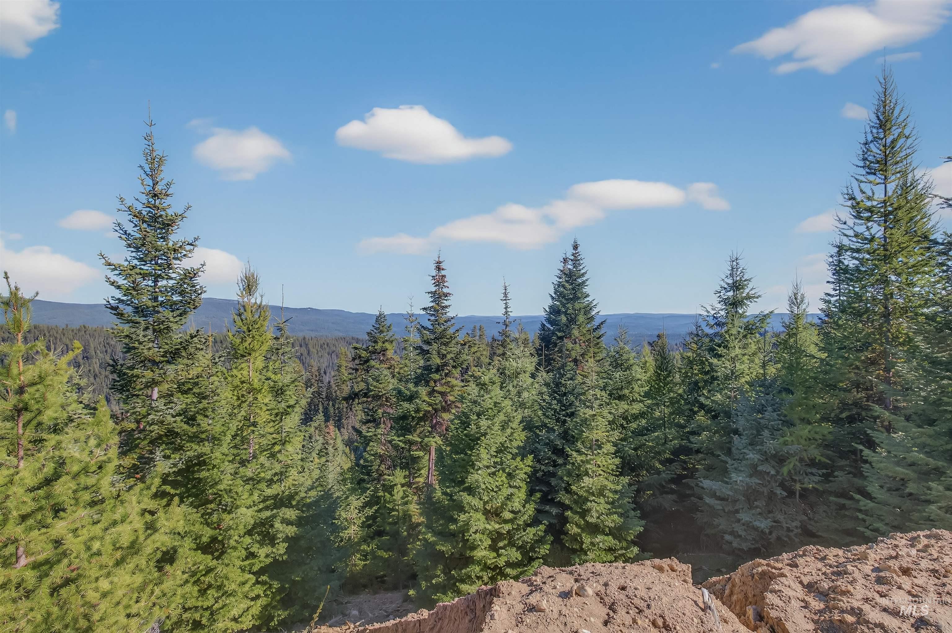 8 Tree Farm Trails Road Elk City, ID 83525 - Photo 9 of 14 View of mountain backdrop with a forest