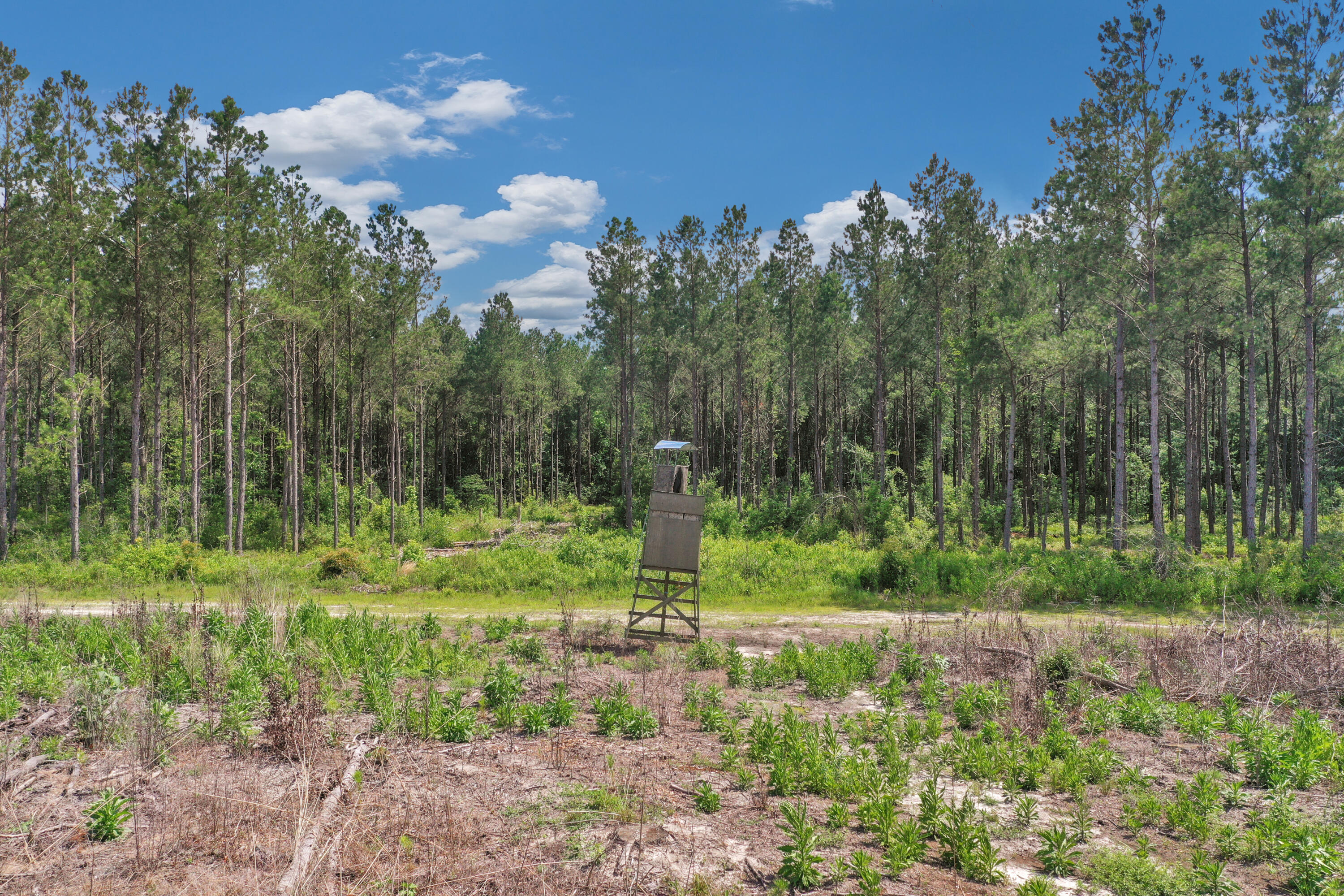 5120 North Brewington Road, Unit 2 Alcolu, SC 29001 - Photo 12 of 46 DJI_0510