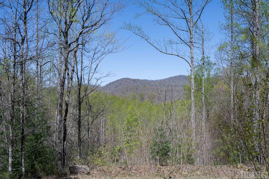 Lot 21 Pilot Knob Road Tuckasegee, NC 28783 - Photo 12 of 29 Gallery Image 12