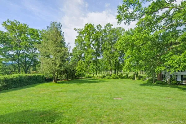 a view of a grassy field with trees