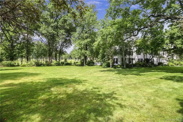 a view of a park with large trees