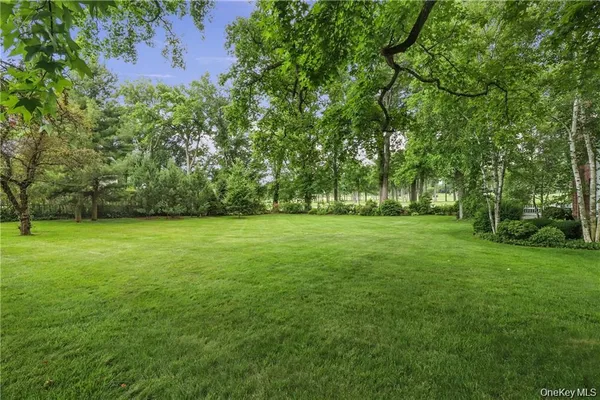 a view of outdoor space with deck and yard