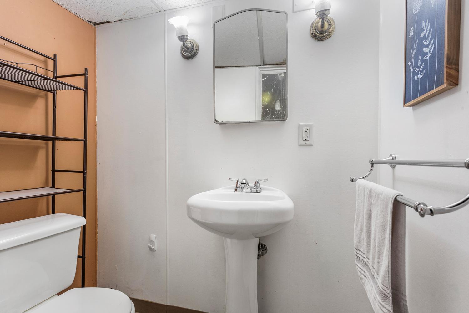 1117 West Union Street Champaign, IL 61821 - Photo 26 of 29 a bathroom with a sink toilet and mirror