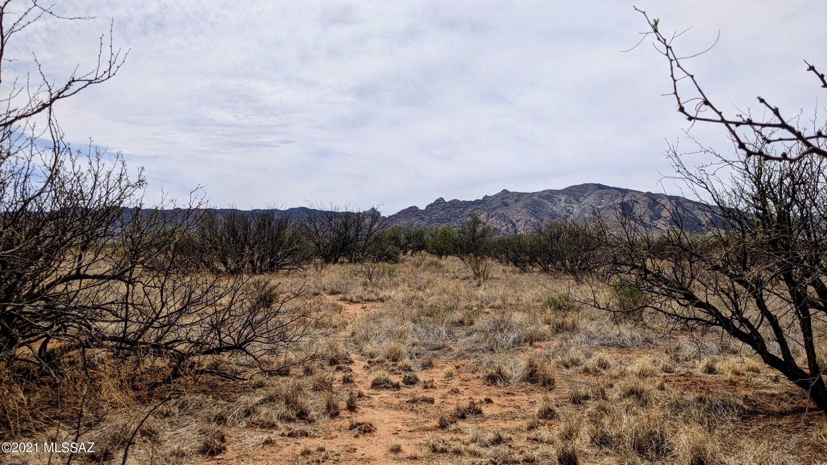 1.07 Acre Off Desert Road Cochise, AZ 85606 - Photo 4 of 20