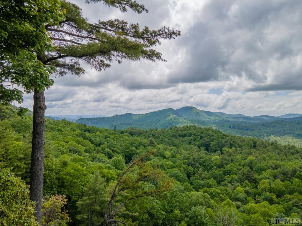 63 Rambouillet Road Cashiers, NC 28717 - Photo 46 of 50 Gallery Image 46