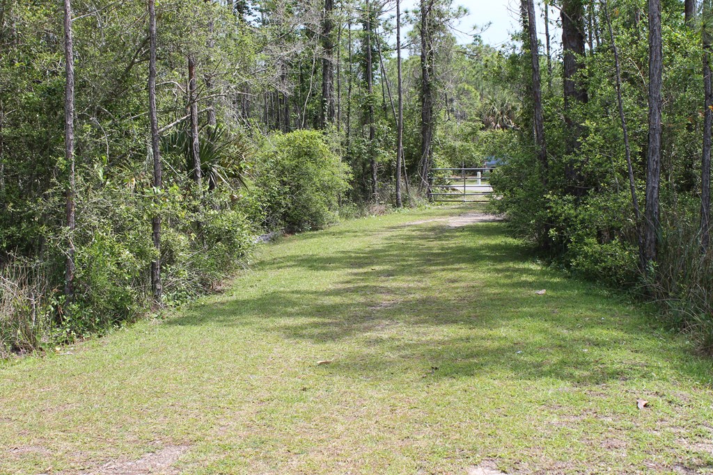 1159 Russell Way Eastpoint, FL 32328 - Photo 13 of 13