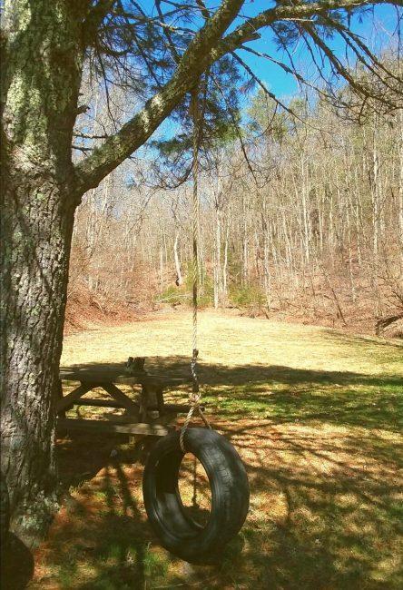 512 Wildcat Run Road South Marlinton, WV 24954 - Photo 16 of 45 Gallery Image 16