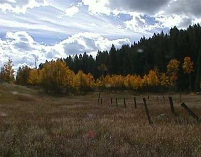 2179 Lake Creek Road Edwards, CO 81632 - Photo 1 of 8 Primary Photo