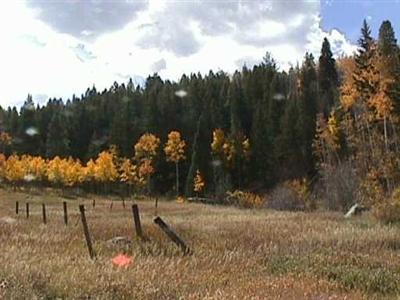 2179 Lake Creek Road Edwards, CO 81632 - Photo 2 of 8 Additional Photo