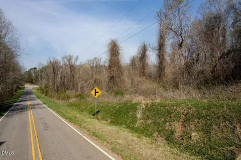 a close up of a plant in a forest