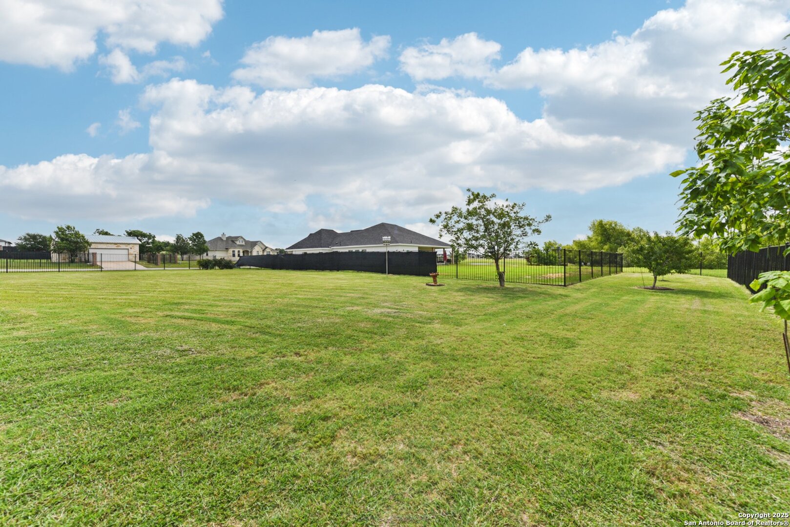 138 Gable Street Kyle, TX 78640 - Photo 36 of 51 a view of a fountain in front of a big yard with plants and large trees