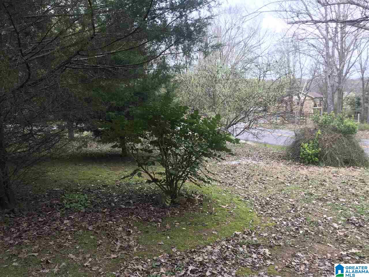 1410 County Line Road Oxford, AL 36203 - Photo 25 of 31