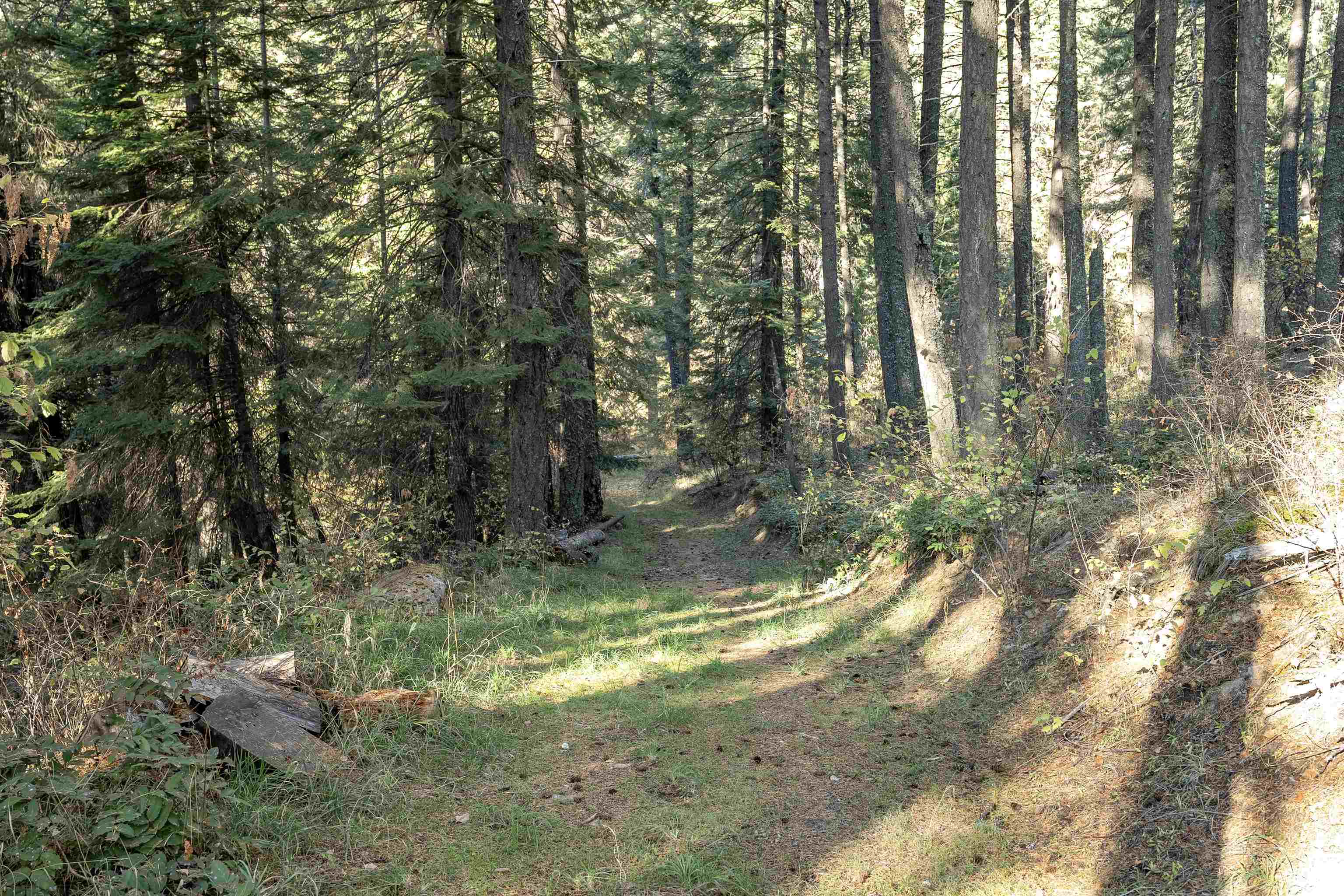 13411 East Randall Road Mead, WA 99021 - Photo 44 of 47