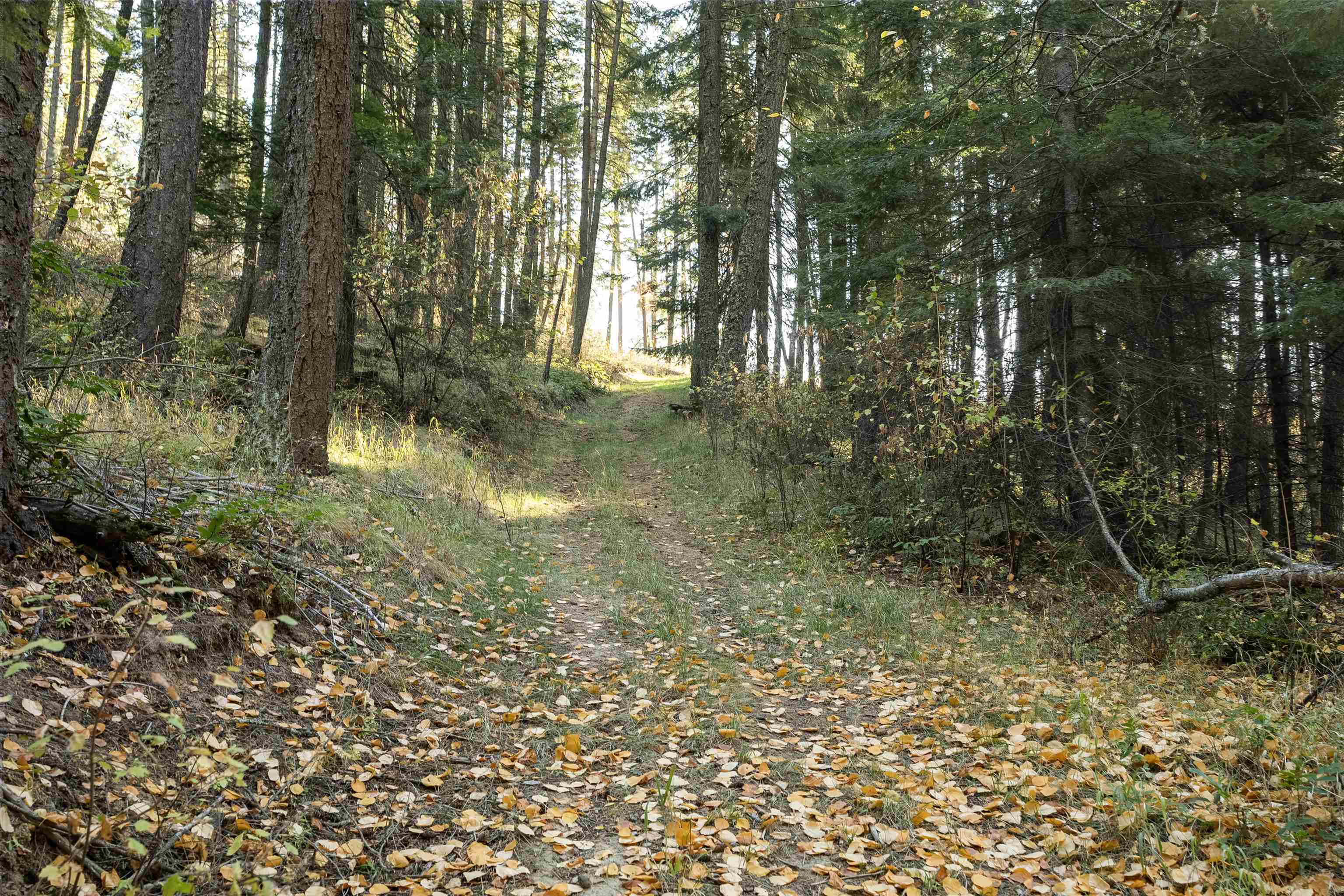 13411 East Randall Road Mead, WA 99021 - Photo 45 of 47