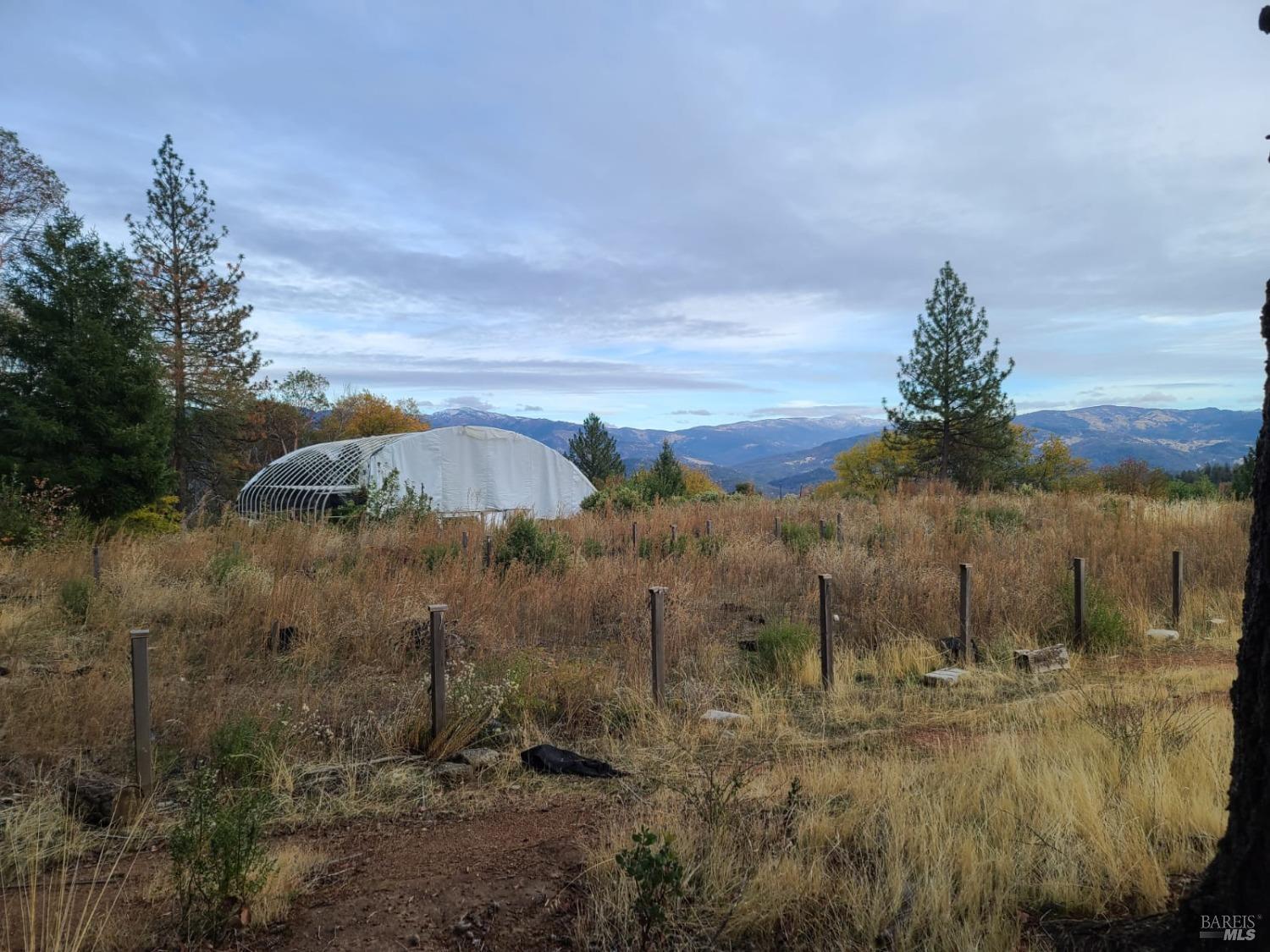 78577 Mina Road Covelo, CA 95428 - Photo 11 of 27 a view of a yard in front of house