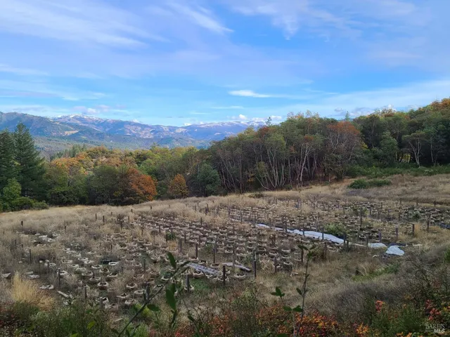 a view of an outdoor space with mountain view