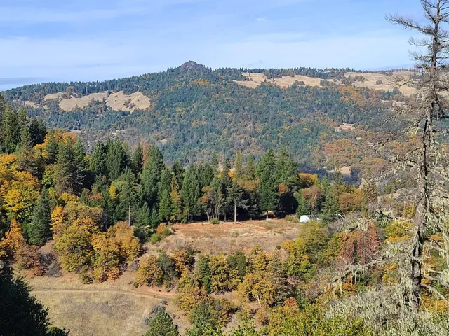 a view of a field with a mountain in the background