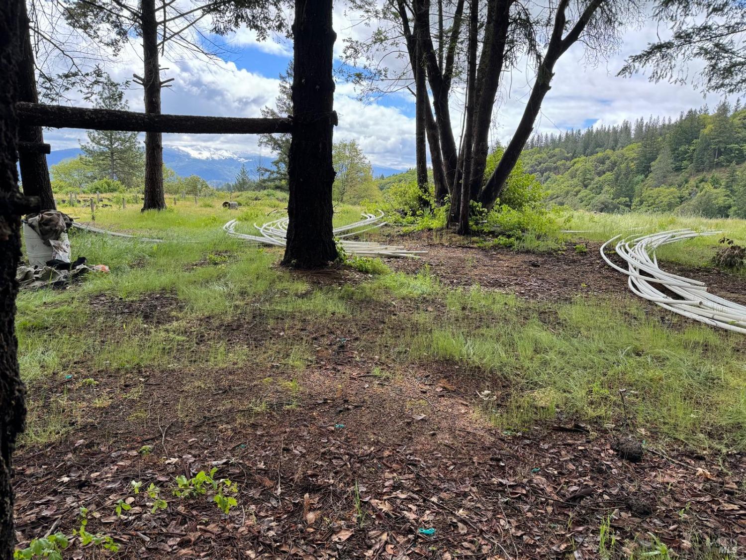 78577 Mina Road Covelo, CA 95428 - Photo 15 of 27 a view of a yard with a tree