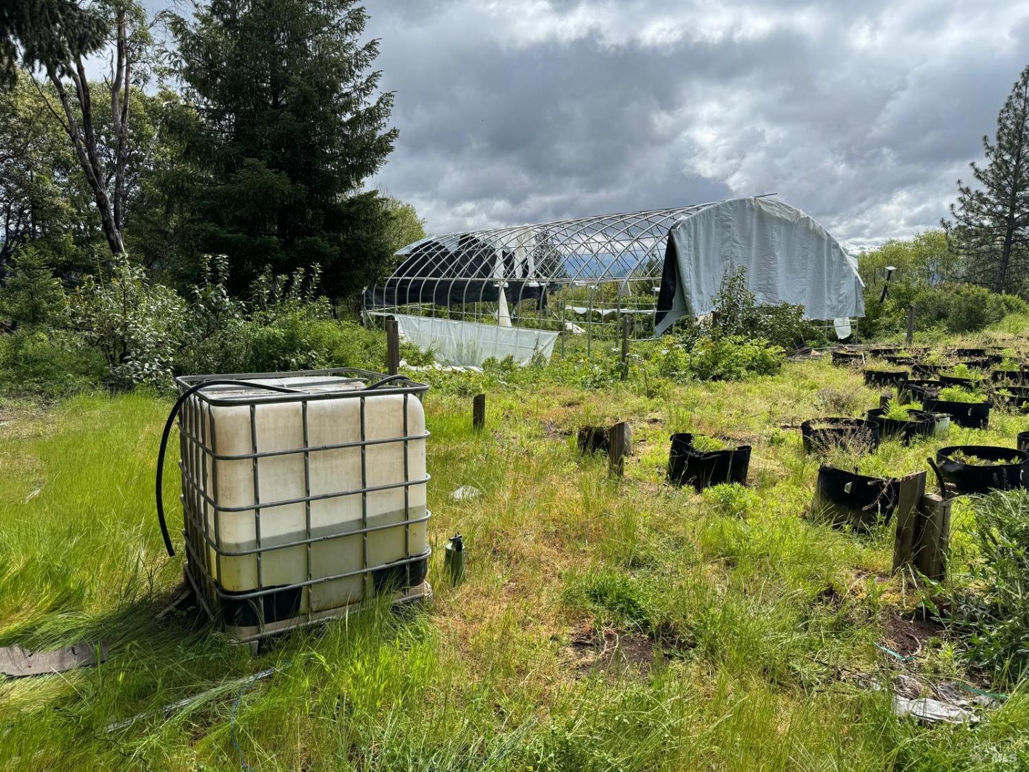 78577 Mina Road Covelo, CA 95428 - Photo 16 of 27 a view of a swimming pool with a yard