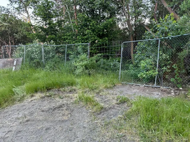 a view of a backyard