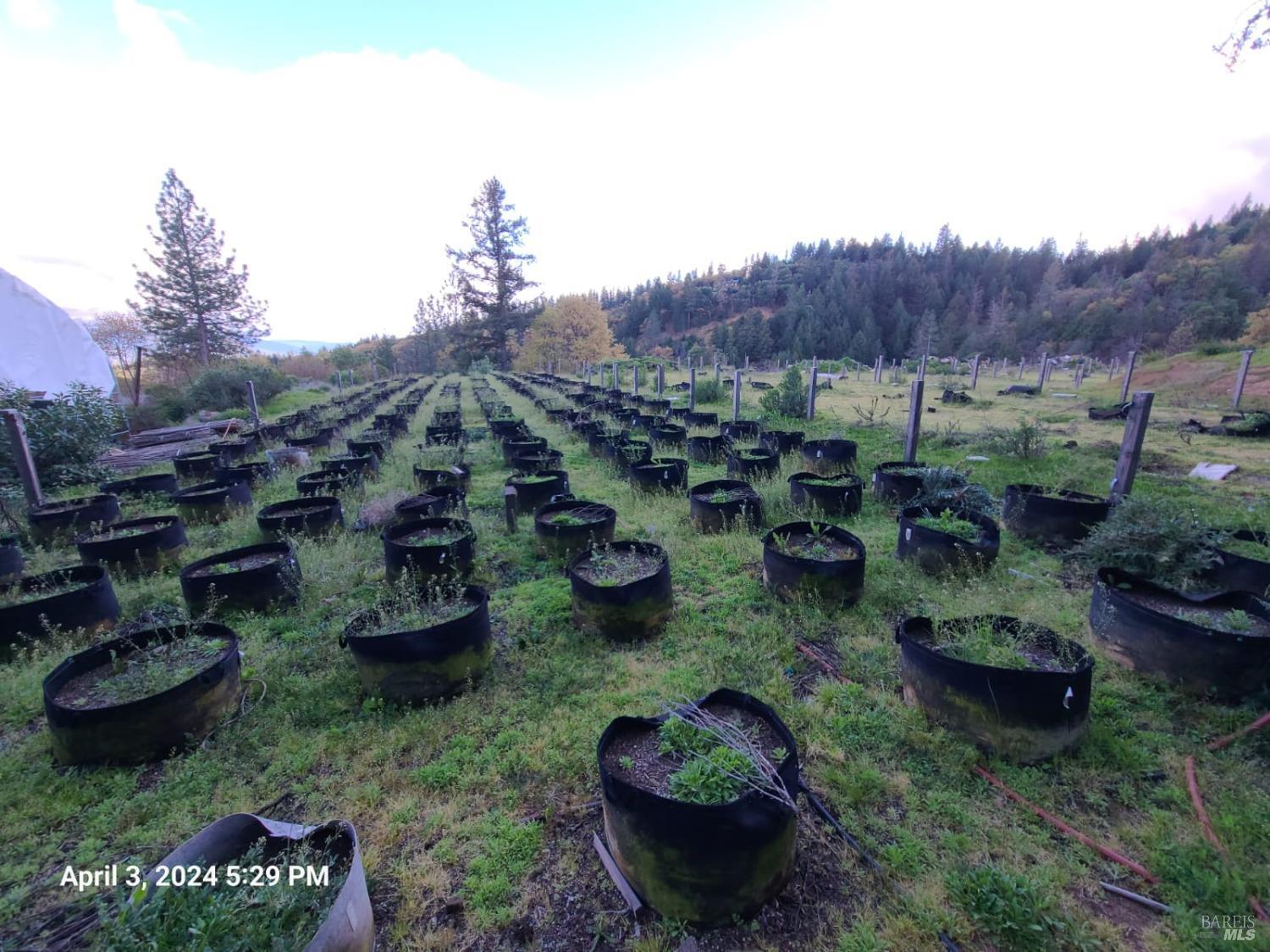 78577 Mina Road Covelo, CA 95428 - Photo 23 of 27 a view of swimming pool patio and outdoor seating