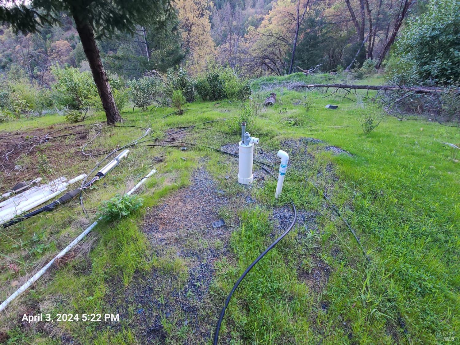 78577 Mina Road Covelo, CA 95428 - Photo 24 of 27 a view of a garden with large trees