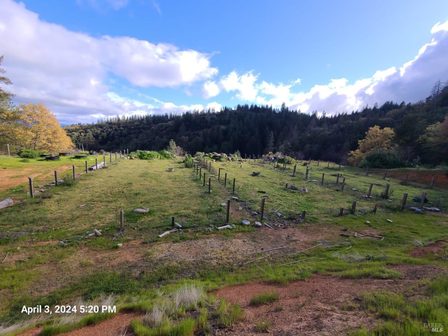78577 Mina Road Covelo, CA 95428 - Photo 25 of 27 a view of a yard with table and chairs