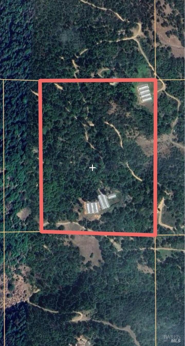 78577 Mina Road Covelo, CA 95428 - Photo 3 of 27 a view of a yard with a small yard and potted plants