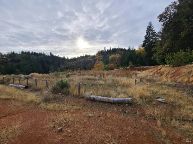 a view of a dry yard with trees
