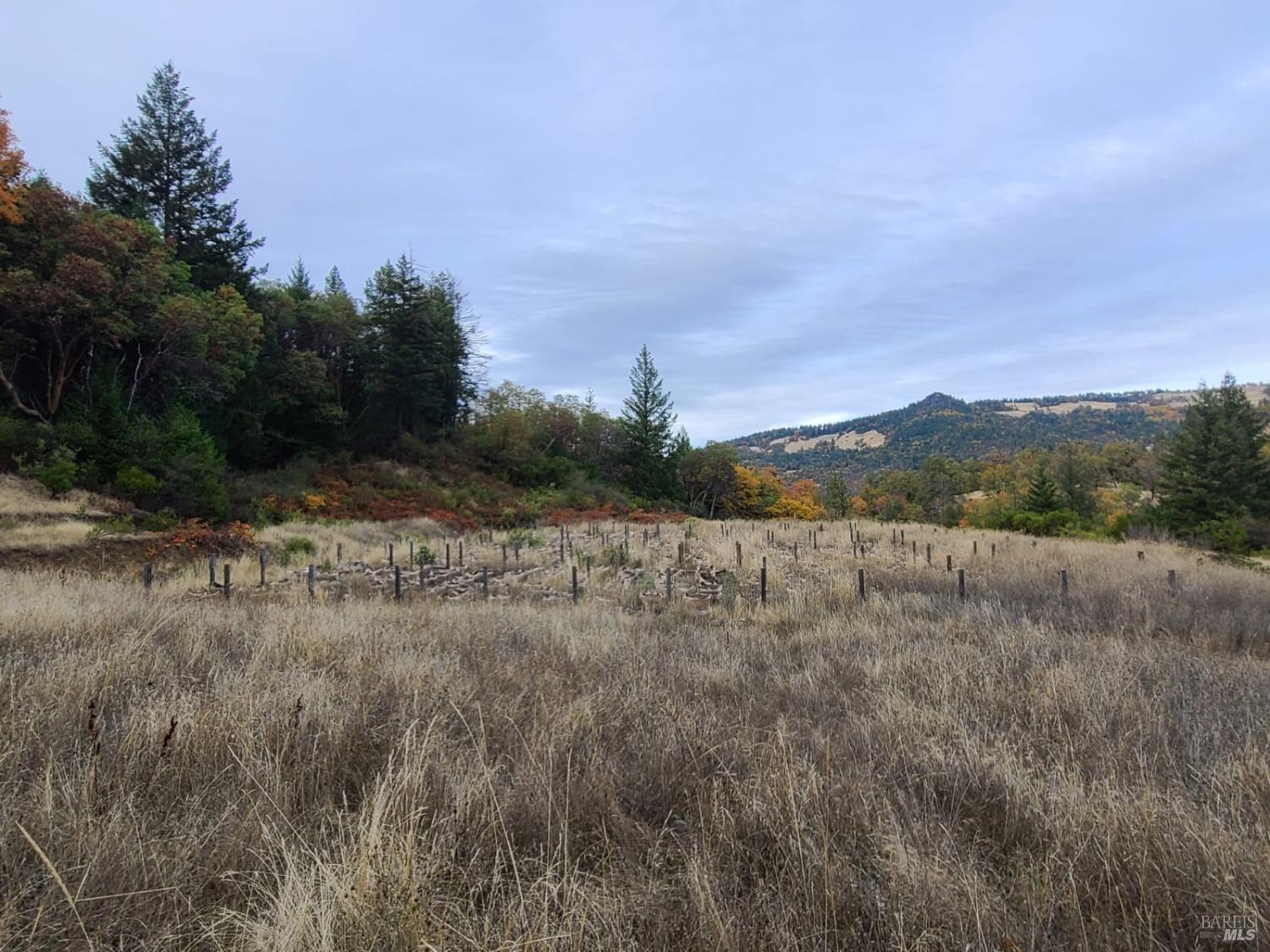 78577 Mina Road Covelo, CA 95428 - Photo 7 of 27 a view of an outdoor space and mountains