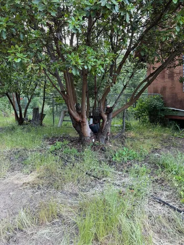 a view of outdoor space and trees