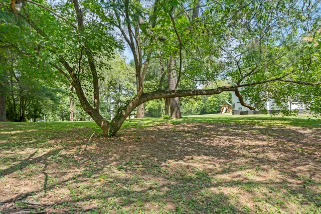 a view of outdoor space with deck and yard
