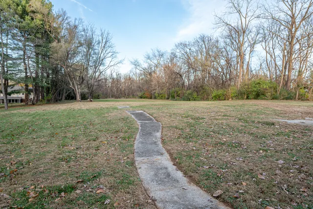 a view of a field with trees in the background