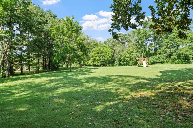 a view of green field with trees in the background