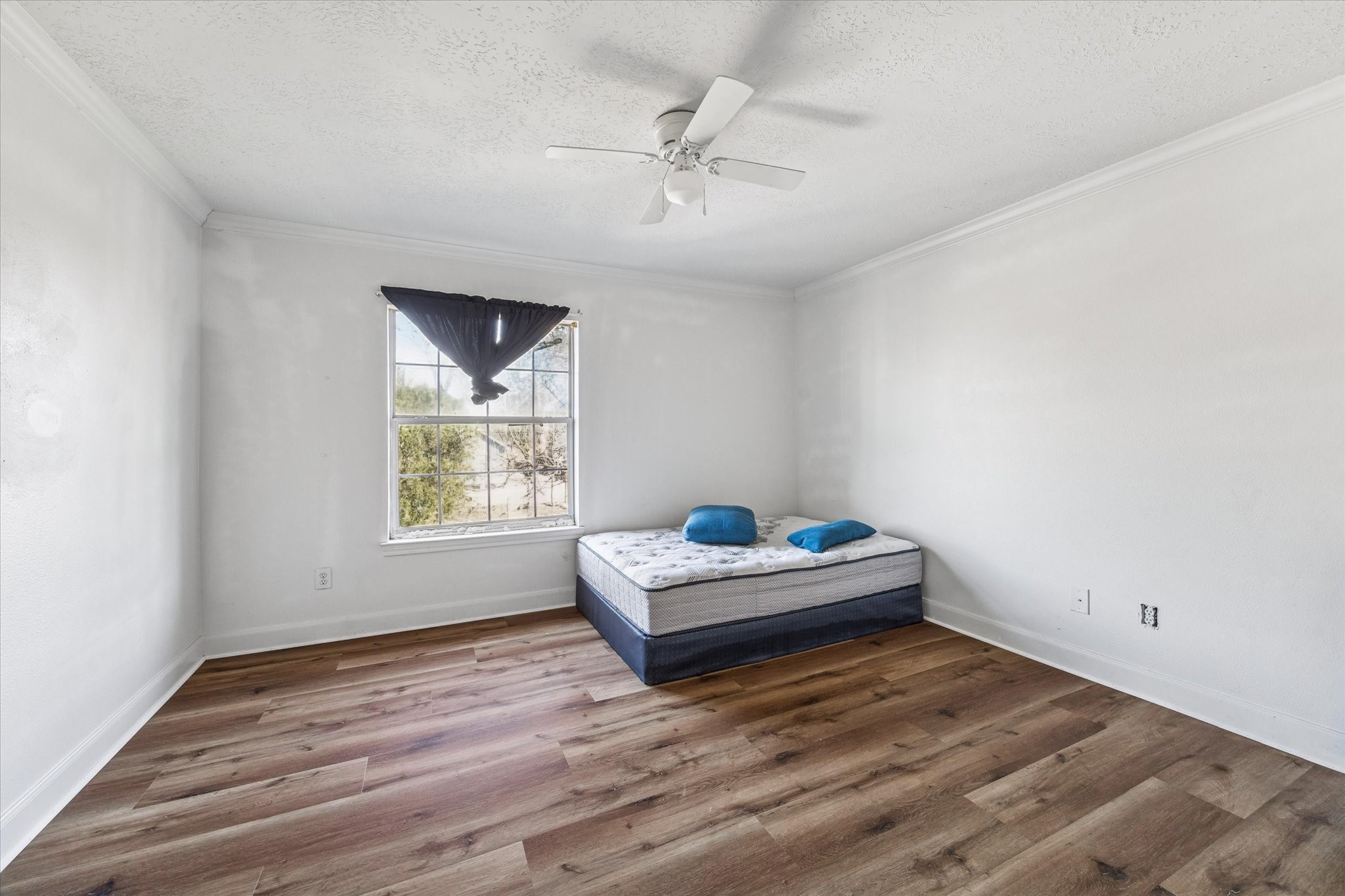 4206 Wiley Road Houston, TX 77093 - Photo 13 of 28