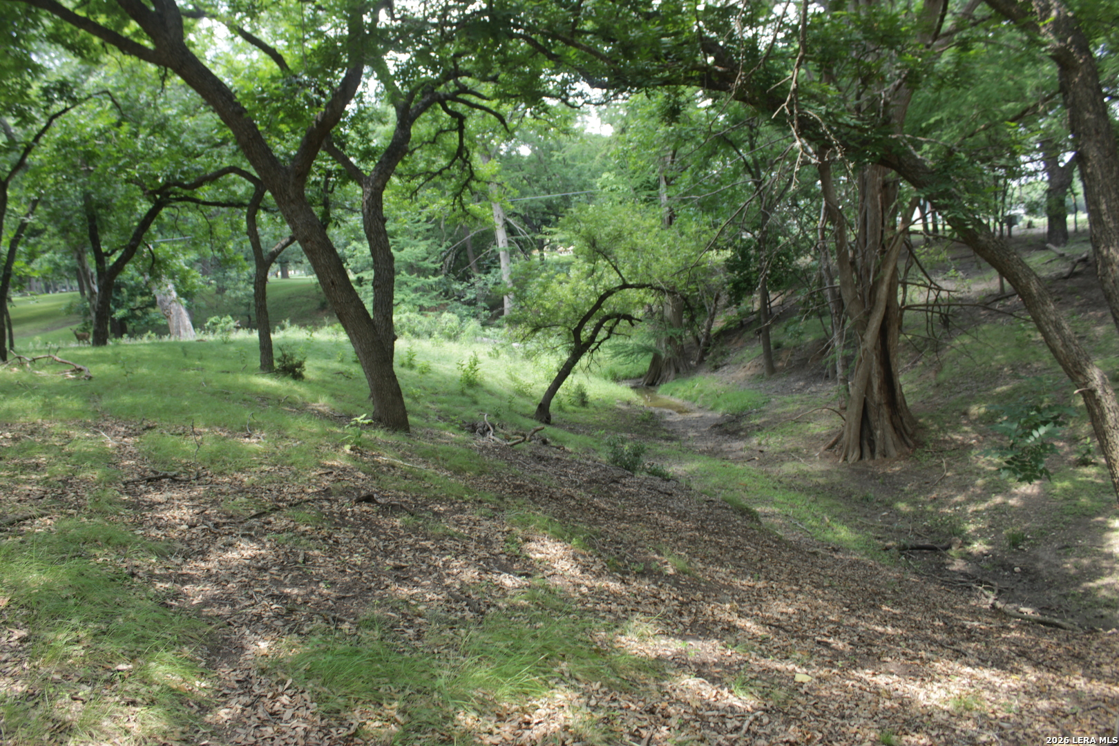 28 South River Pl Road Rio Frio, TX 78879 - Photo 21 of 40