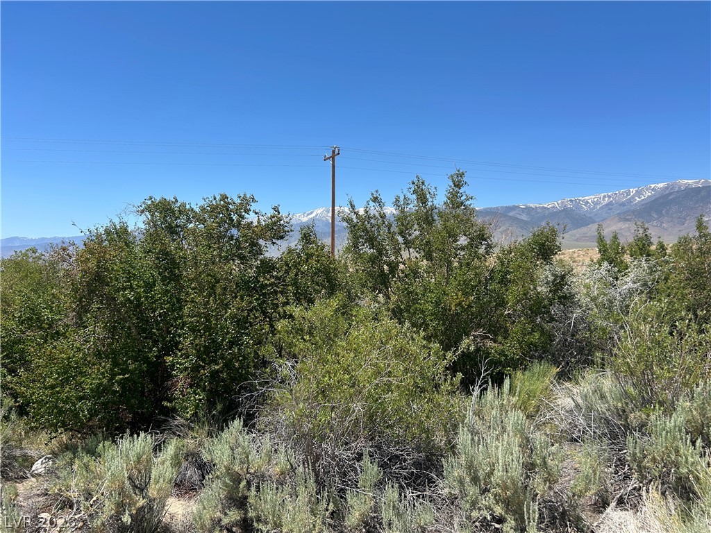 360 Mountain Creek Road Dyer, NV 89010 - Photo 11 of 23 Vast mountain vistas create an inspiring backdrop for this rural lot.
