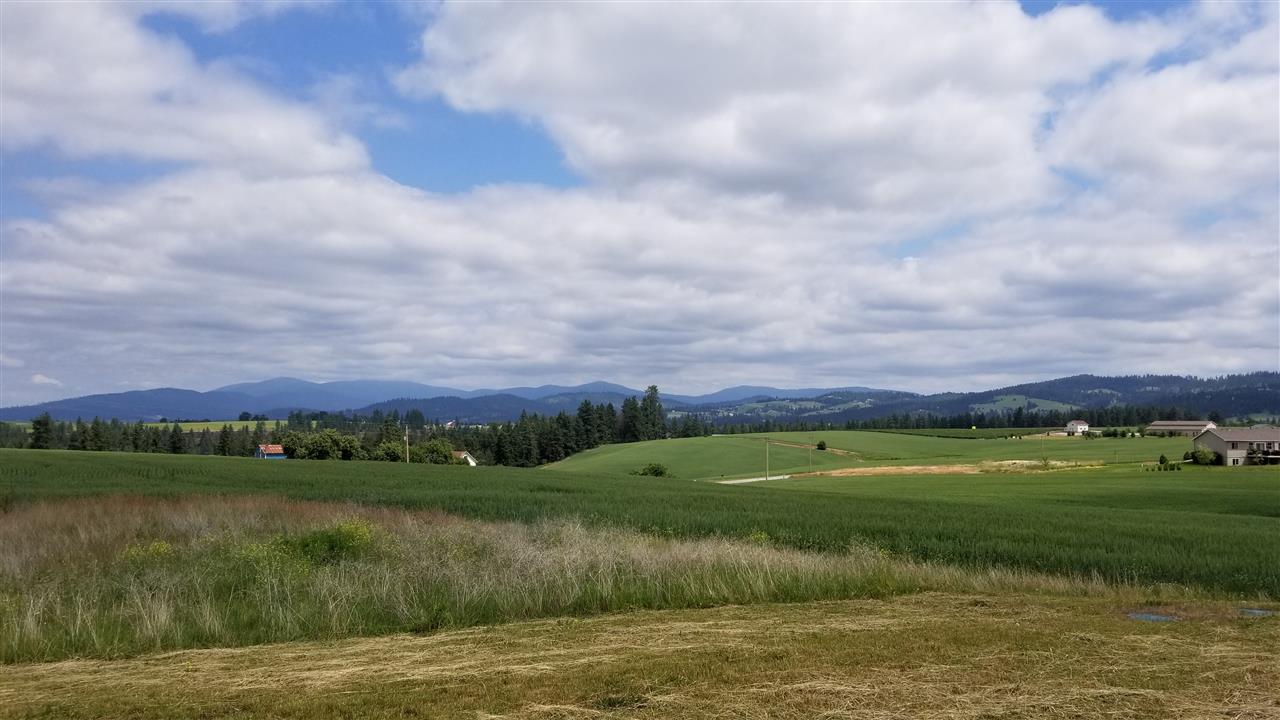 13304 East Piper Road Spokane, WA 99217 - Photo 4 of 20
