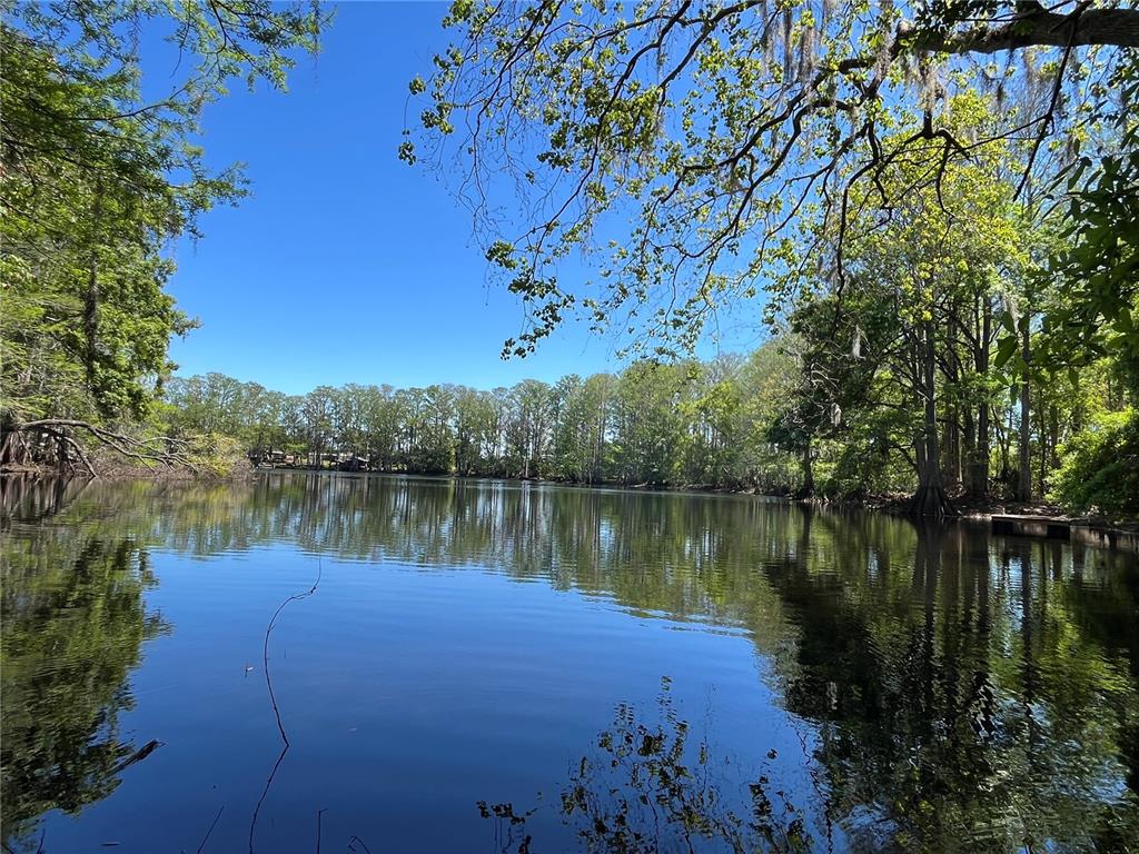 8546 Cameo Drive New Port Richey, FL 34654 - Photo 1 of 20 a body of water with a tree in the background